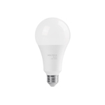 Lámparas LED tipo bulbo en caja